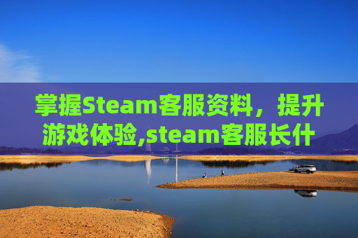掌握Steam客服资料，提升游戏体验,steam客服长什么样