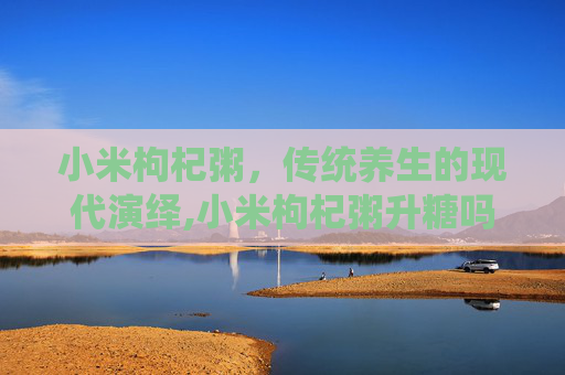 小米枸杞粥，传统养生的现代演绎,小米枸杞粥升糖吗
