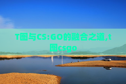 T图与CS:GO的融合之道,t图csgo