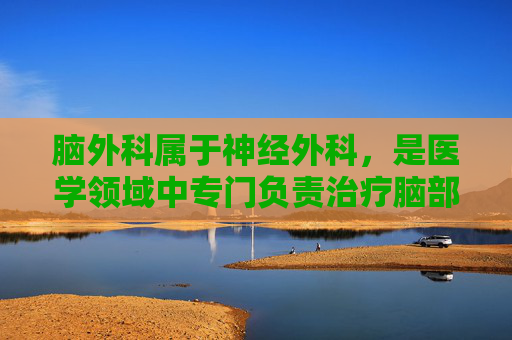 脑外科属于神经外科，是医学领域中专门负责治疗脑部疾病和损伤的科室。脑外科医生通常具备深厚的解剖学、生理学和病理学知识，他们通过精细的手术技术来修复或替换受损的脑组织，以恢复患者的神经功能。,脑外科属于什么科室