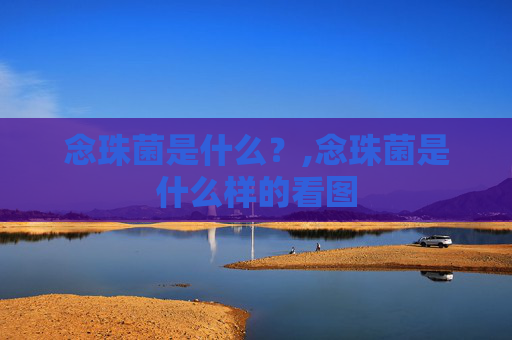 念珠菌是什么？,念珠菌是什么样的看图