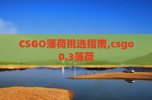CSGO薄荷挑选指南,csgo0.3薄荷