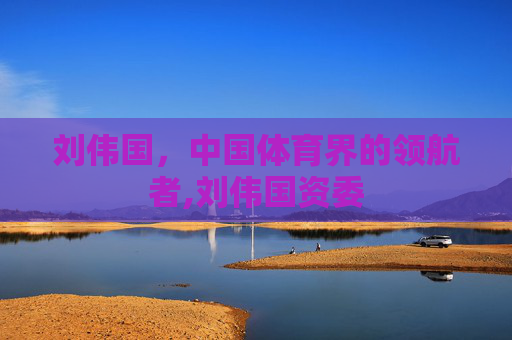 刘伟国，中国体育界的领航者,刘伟国资委