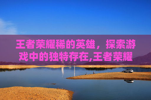 王者荣耀稀的英雄，探索游戏中的独特存在,王者荣耀稀有的英雄