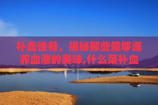 补血佳肴,揭秘那些能够滋养血液的美味,什么菜补血效果最好最快 补血佳肴,揭秘那些能够滋养血液的美味,什么菜补血效果最好最快