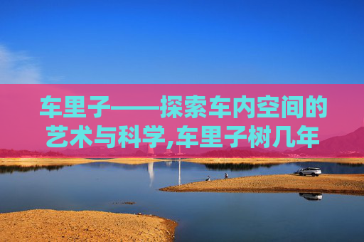 车里子——探索车内空间的艺术与科学,车里子树几年挂果
