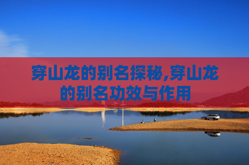穿山龙的别名探秘,穿山龙的别名功效与作用