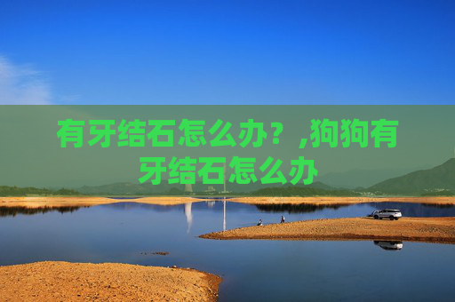 有牙结石怎么办？,狗狗有牙结石怎么办