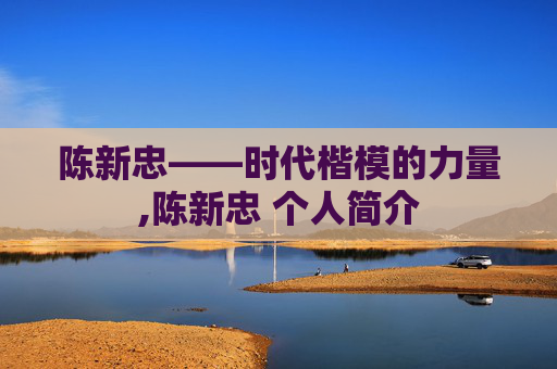 陈新忠——时代楷模的力量,陈新忠 个人简介