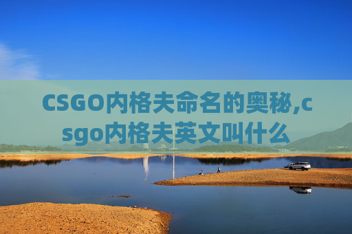 CSGO内格夫命名的奥秘,csgo内格夫英文叫什么