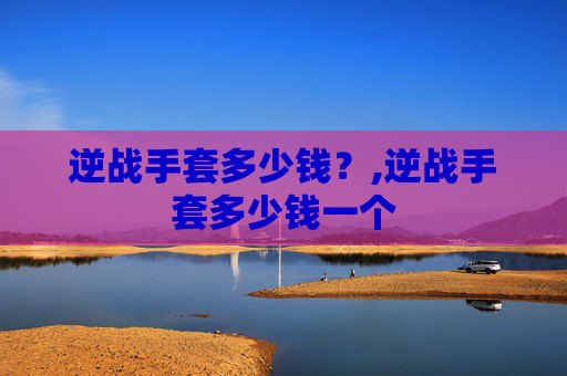 逆战手套多少钱？,逆战手套多少钱一个