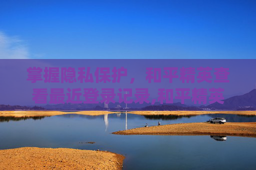 掌握隐私保护，和平精英查看最近登录记录,和平精英查看最近登录记录怎么查
