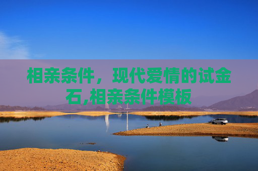 相亲条件，现代爱情的试金石,相亲条件模板