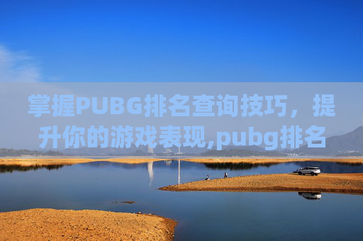 掌握PUBG排名查询技巧，提升你的游戏表现,pubg排名在哪里看
