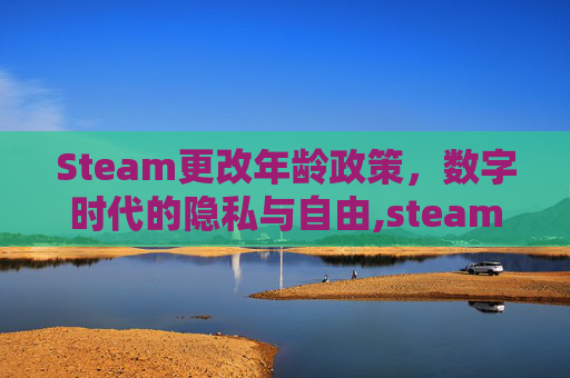 Steam更改年龄政策，数字时代的隐私与自由,steam修改年龄