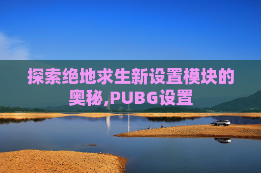 探索绝地求生新设置模块的奥秘,PUBG设置