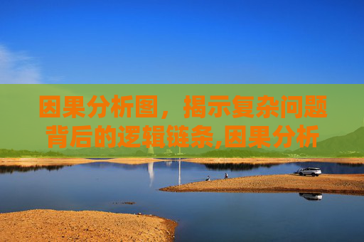 因果分析图，揭示复杂问题背后的逻辑链条,因果分析图又称为