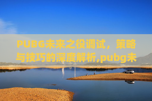 PUBG未来之役调试，策略与技巧的深度解析,pubg未来之役切换中文教程