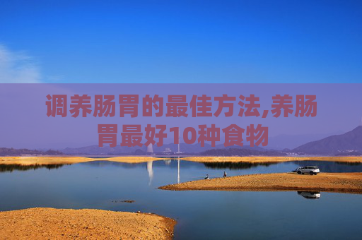 调养肠胃的最佳方法,养肠胃最好10种食物