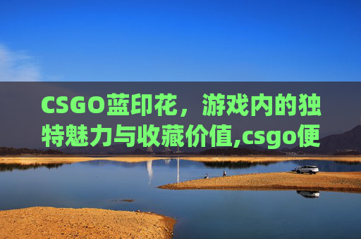 CSGO蓝印花，游戏内的独特魅力与收藏价值,csgo便宜好看的蓝色印花