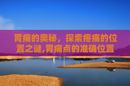 胃痛的奥秘，探索疼痛的位置之谜,胃痛点的准确位置图