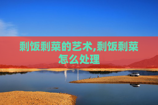 剩饭剩菜的艺术,剩饭剩菜怎么处理
