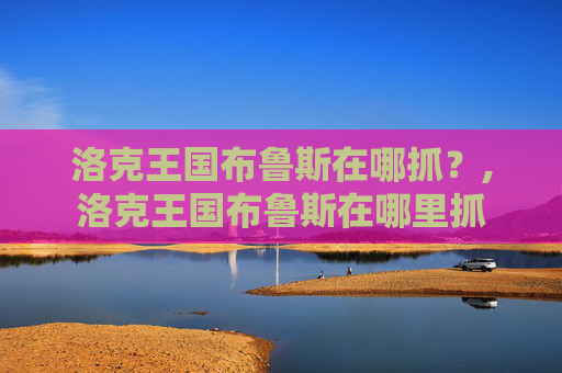 洛克王国布鲁斯在哪抓？,洛克王国布鲁斯在哪里抓