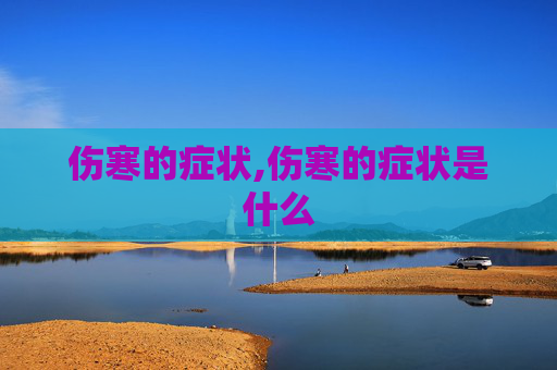 伤寒的症状,伤寒的症状是什么