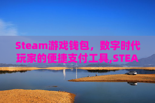Steam游戏钱包，数字时代玩家的便捷支付工具,STEAM钱包