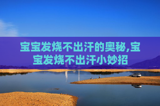 宝宝发烧不出汗的奥秘,宝宝发烧不出汗小妙招