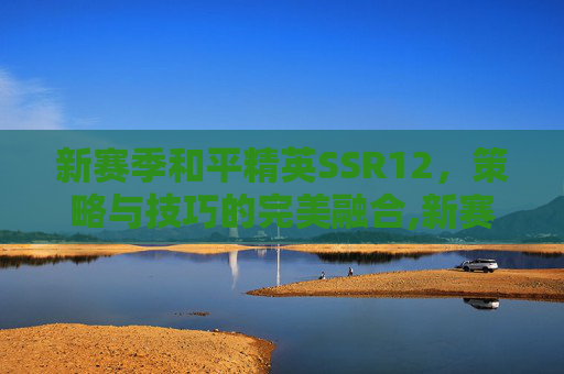 新赛季和平精英SSR12，策略与技巧的完美融合,新赛季和平精英ss12赛季时间