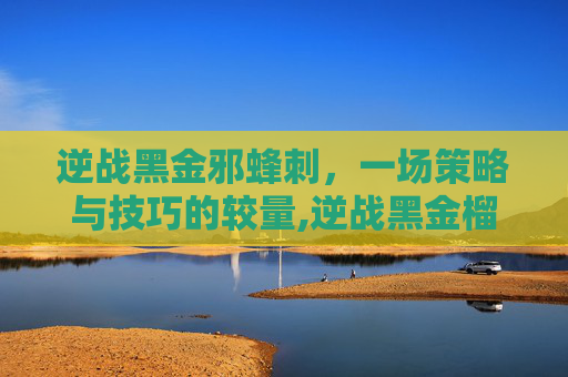 逆战黑金邪蜂刺，一场策略与技巧的较量,逆战黑金榴弹炮怎么刷