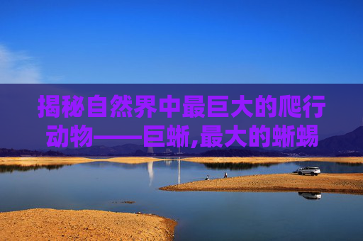 揭秘自然界中最巨大的爬行动物——巨蜥,最大的蜥蜴是什么蜥蜴