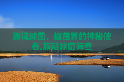 族链球菌，细菌界的神秘使者,族链球菌筛查