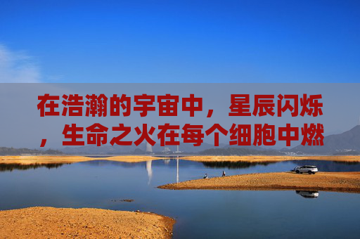 在浩瀚的宇宙中，星辰闪烁，生命之火在每个细胞中燃烧。然而，在这无尽的追求与奋斗中，我们是否曾停下脚步，审视自己的心灵？在忙碌与压力之下，我们是否忘记了倾听内心的声音？,精关一紧