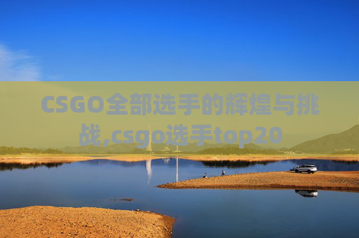 CSGO全部选手的辉煌与挑战,csgo选手top20