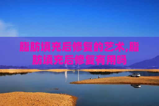 脂肪填充后修复的艺术,脂肪填充后修复有用吗