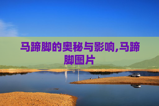 马蹄脚的奥秘与影响,马蹄脚图片