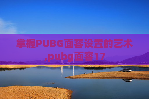 掌握PUBG面容设置的艺术,pubg面容17