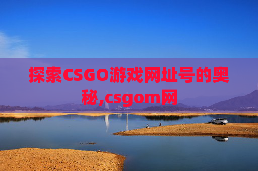 探索CSGO游戏网址号的奥秘,csgom网