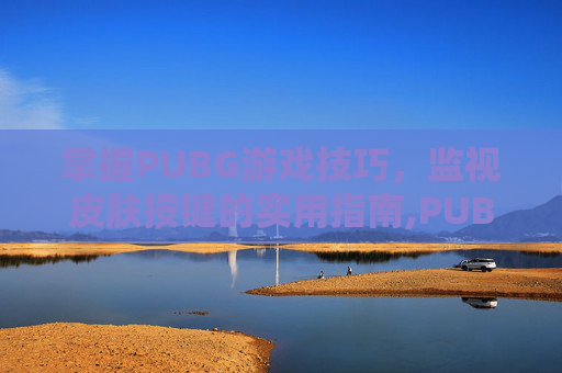 掌握PUBG游戏技巧，监视皮肤按键的实用指南,PUBG中皮肤怎么检视