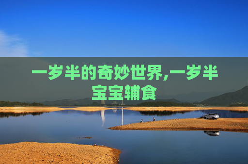 一岁半的奇妙世界,一岁半宝宝辅食