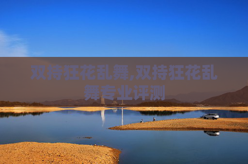 双持狂花乱舞,双持狂花乱舞专业评测