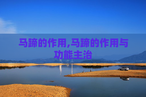 马蹄的作用,马蹄的作用与功能主治