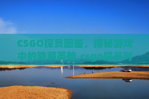 CSGO探员图鉴，揭秘游戏中的隐藏英雄,csgo探员对应地图