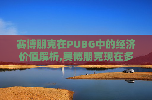 赛博朋克在PUBG中的经济价值解析,赛博朋克现在多少钱