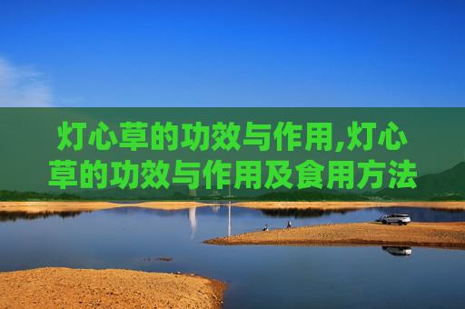 灯心草的功效与作用,灯心草的功效与作用及食用方法