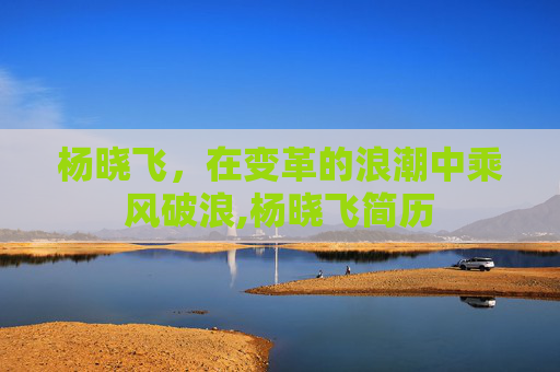 杨晓飞，在变革的浪潮中乘风破浪,杨晓飞简历
