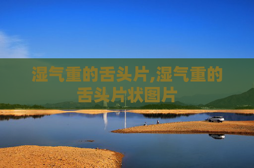 湿气重的舌头片,湿气重的舌头片状图片