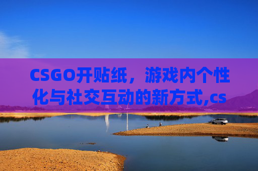 CSGO开贴纸，游戏内个性化与社交互动的新方式,csgo贴纸高清原图
